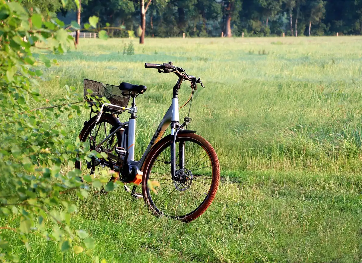 Câble de charge connecté à une batterie de vélo électrique