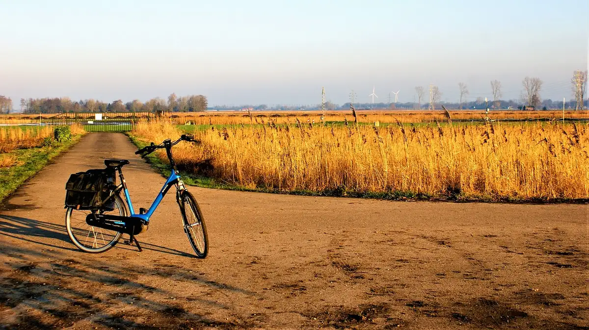Affichage de niveau de batterie d'un vélo électrique montrant environ 20%