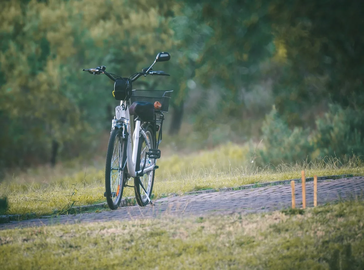 Batterie de vélo électrique stockée à environ 40% dans un placard sec et frais