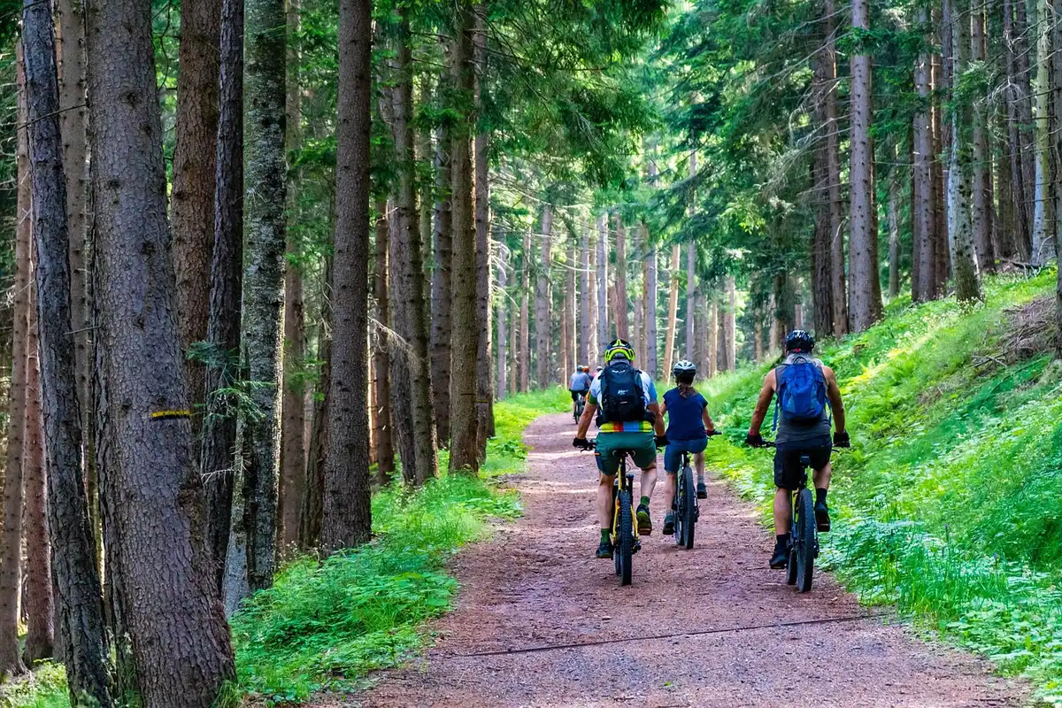 Batterie de vélo électrique stockée à environ 40% dans un espace sec